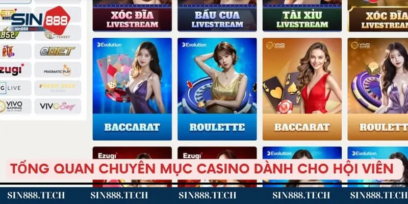 Tổng quan chuyên mục casino dành cho hội viên 